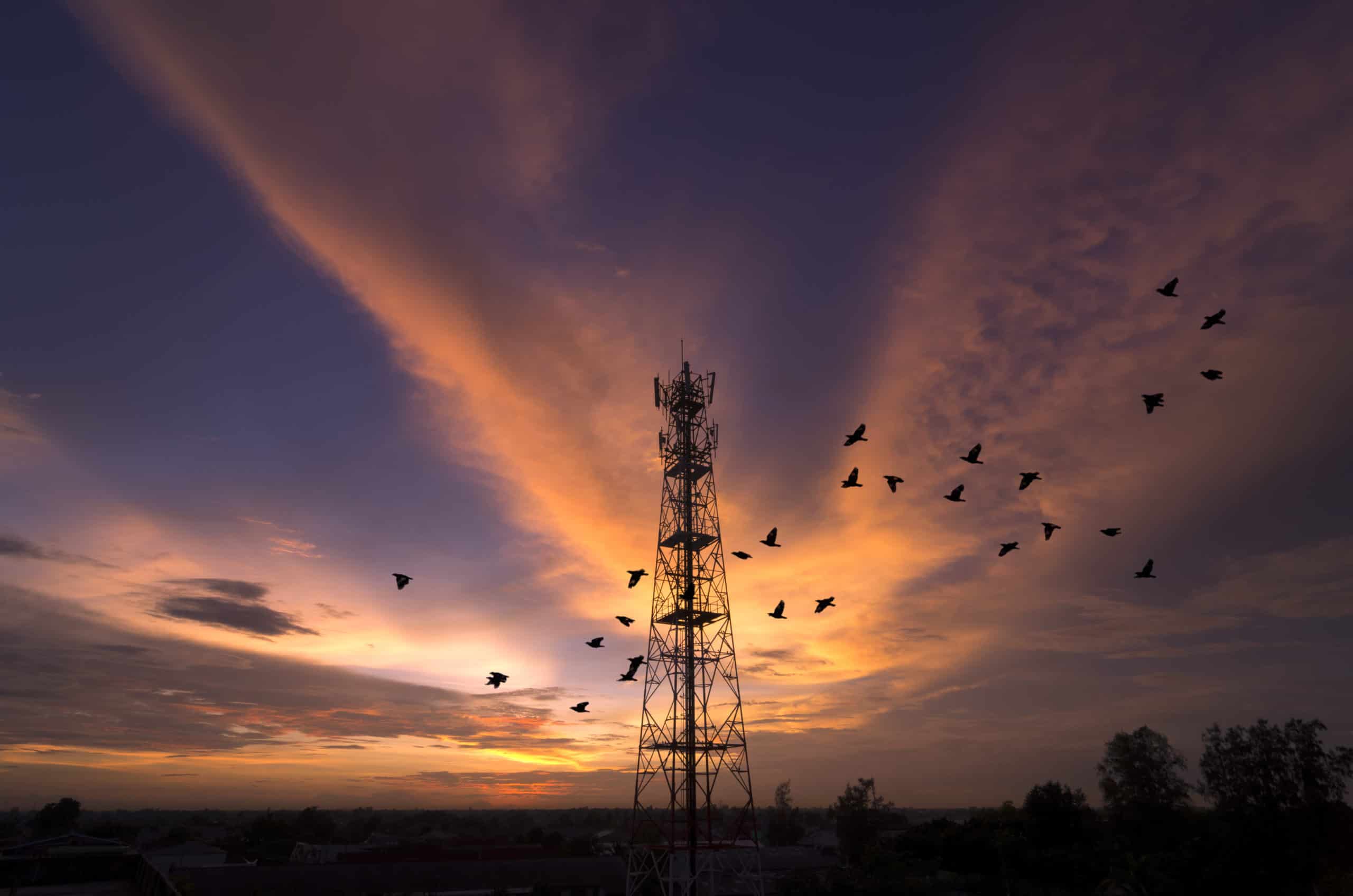 Read more about the article unWired Broadband launches tower in Livingston