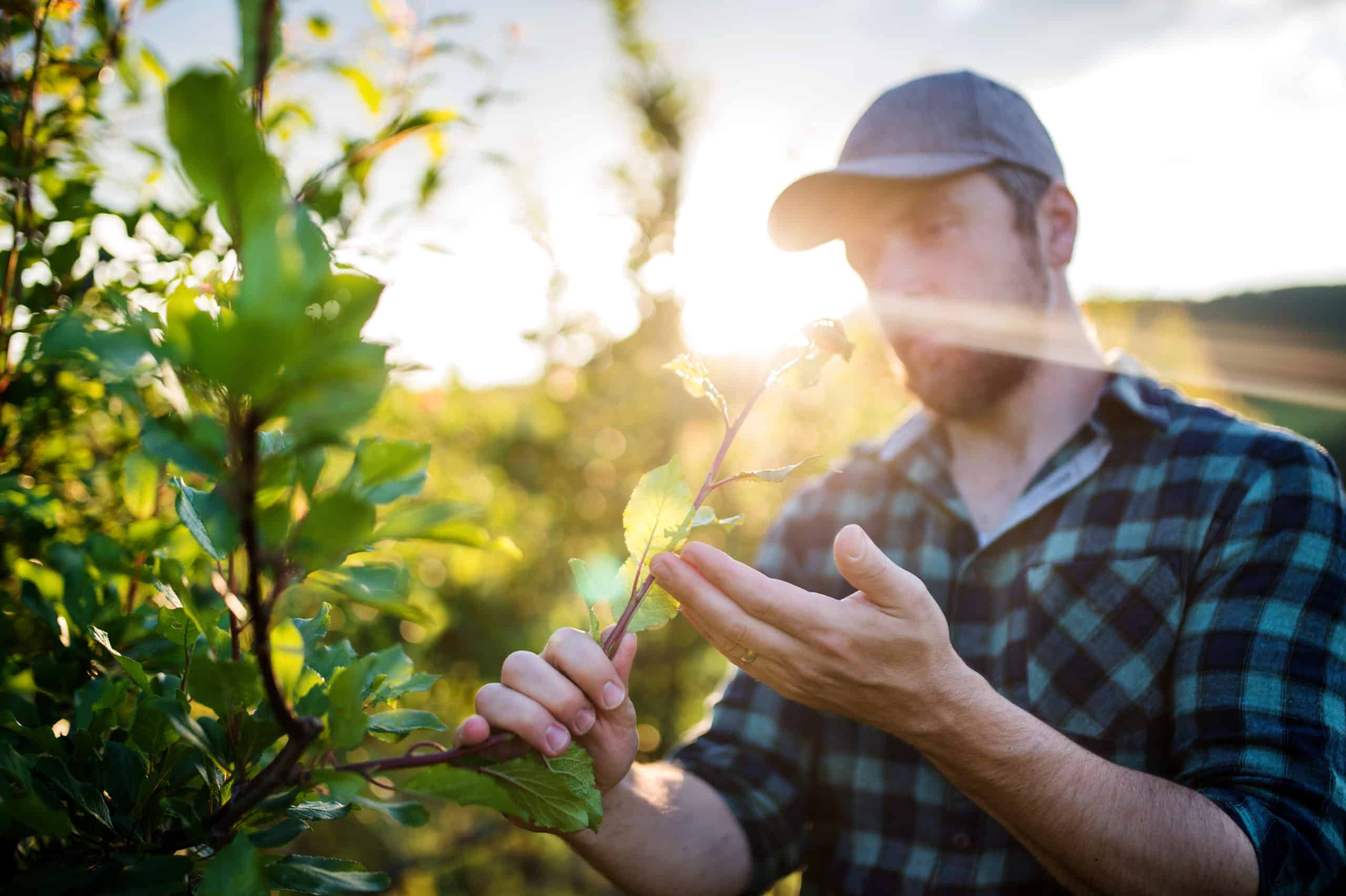 Read more about the article 5 Social Media Tips for Ag Businesses