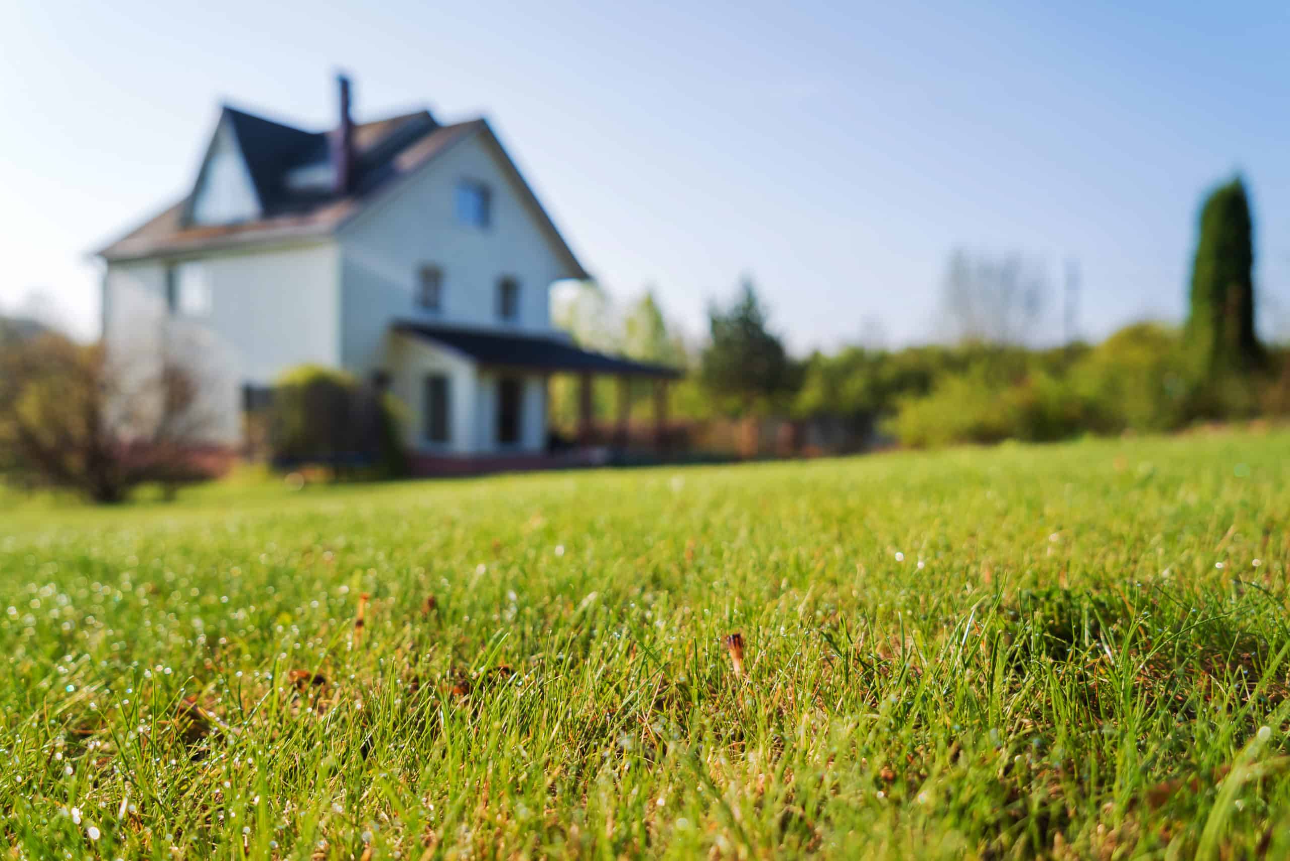 cottage house and young lawn